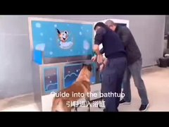 самообслуживание для мытья собак